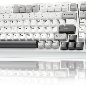 plunoro 99 Wireless Mechanical Keyboard,Tri-Mode BT5.0/2.4GHz/USB-C Hot Swappable